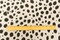 Black-Ivory Famous Designer Silk Spots Printed Chiffon Fabric By the Yard